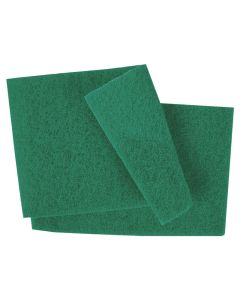 GREEN ECONOMY SCOURERS 10 PER PACK - MICROTRON