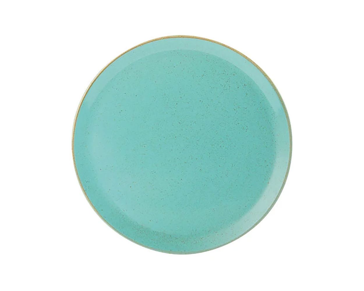 SEA SPRAY PIZZA PLATE 11" CASE X 6