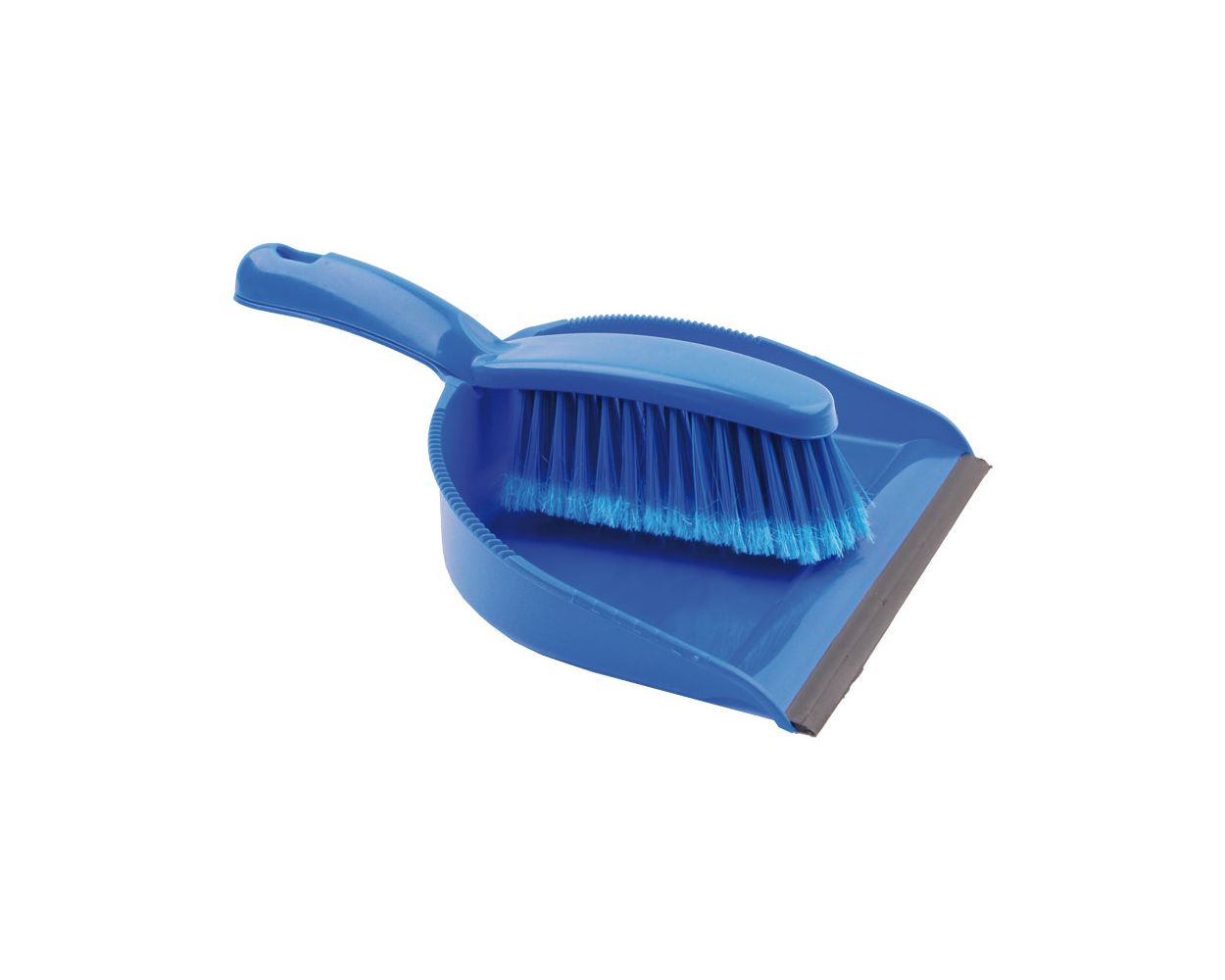 BLUE DUSTPAN & BRUSH
