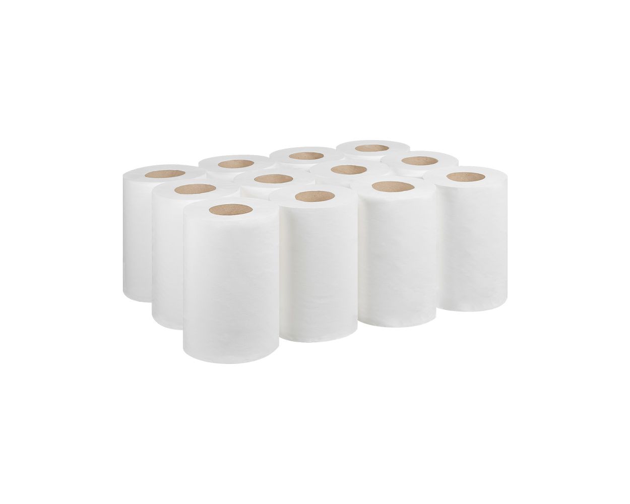 LIXAL WHITE C/FEED 2PLY MINI 12/CASE CHSA 60M LONG
