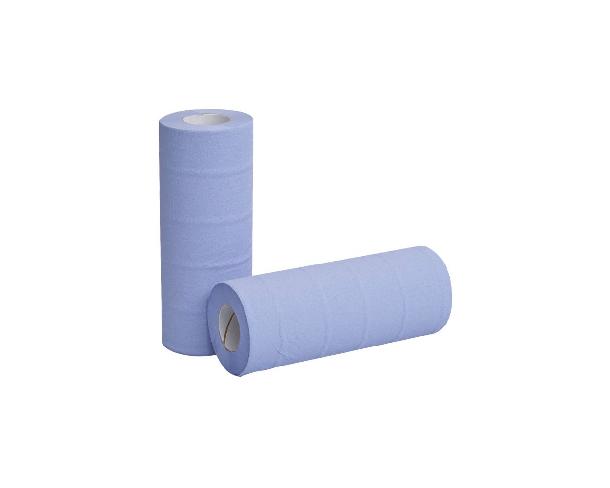 10" BLUE HYGIENE ROLLS 2PLY CASE/24